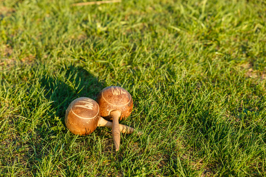 Cuban maracas lie on the green grass. Traditional musical instrument made of natural materials photo