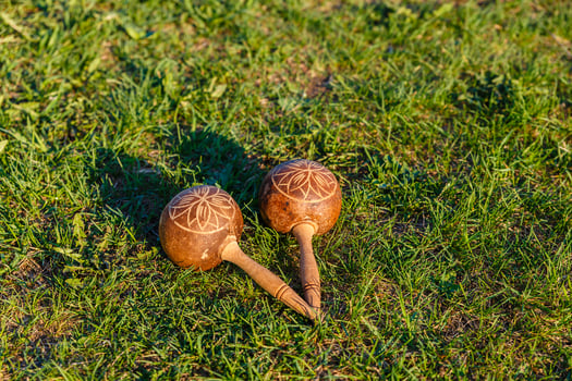 Cuban maracas on the green grass. Traditional musical instrument made of natural materials. photo