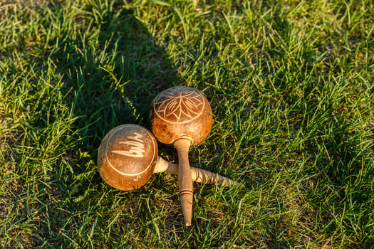 Cuban maracas lie on the green grass. Traditional musical instrument. photo
