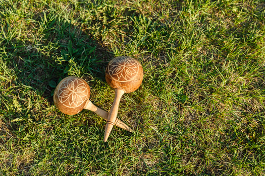 maracas. Traditional musical instrument made of natural materials lie on the green grass. photo