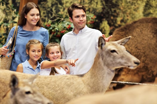 Joyful family in nature museum photo