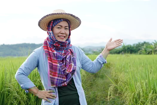 Asian womanman farmer is at agriculture land, wears hat, Thai loincloth covered head,blue shirt and make hand gesture to present something .Concept , Agriculture occupation. Farmer with organic rice. photo