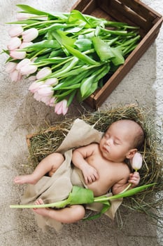 Cute little baby is lying in the wooden box and heap of pink tulips photo