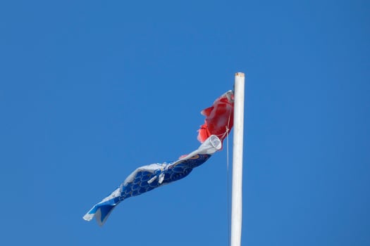 colorful flags under the blue sky fluttering in the wind photo