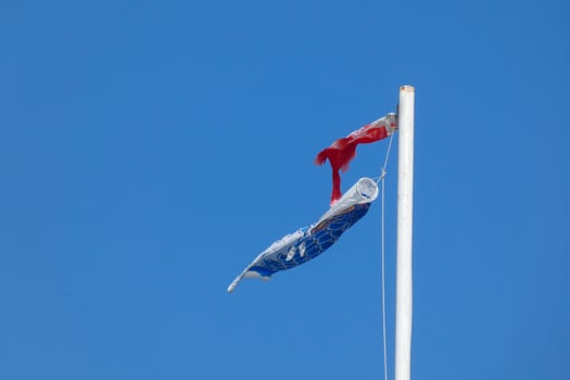 colorful flags under the blue sky fluttering in the wind photo