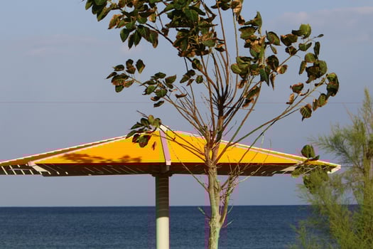 Canopy in the city park to protect from the scorching sun. photo