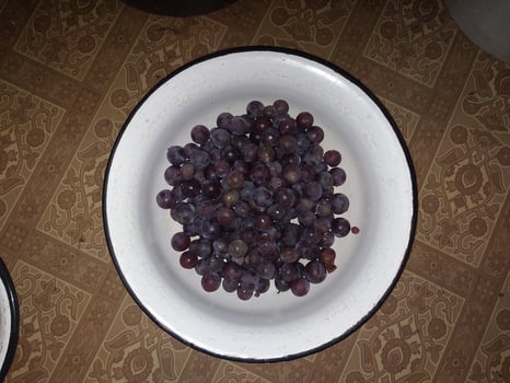 Squeezing grape juice with a screw manual meat grinder photo