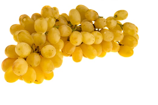 grapes isolated on a white background photo