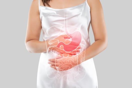 Internal organs of the woman body. photo