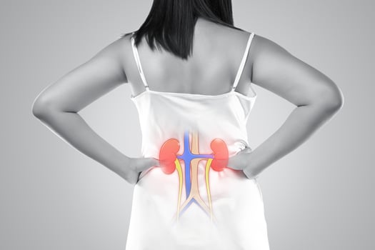 Kidney disease and Kidney failure on a gray background photo