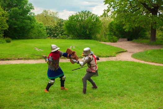 knight's sword fight photo