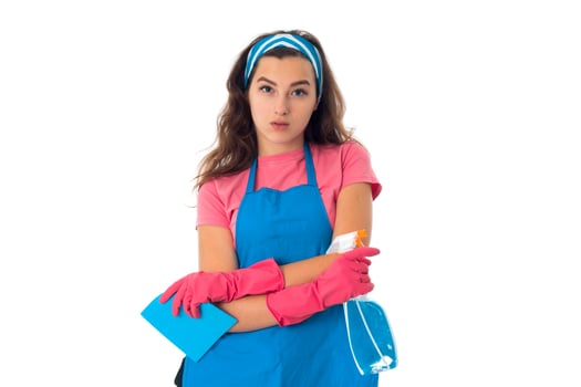 young maid woman with cleansers photo