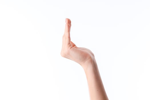 female hand raised up with straight fingers isolated on white background photo