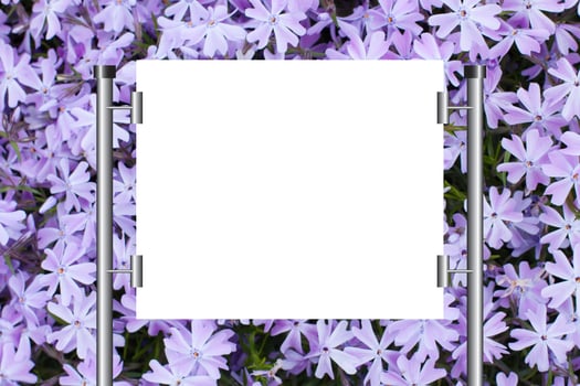Blank advertising billboard on outdoor. photo