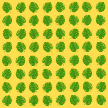 Tropical palm monstera leaves lies on a pastel colored paper. Nature summer concept pattern. Flat lay composition. Top view photo