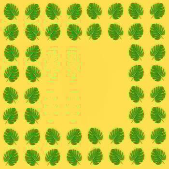 Tropical palm monstera leaves lies on a pastel colored paper. Nature summer concept pattern. Flat lay composition. Top view photo