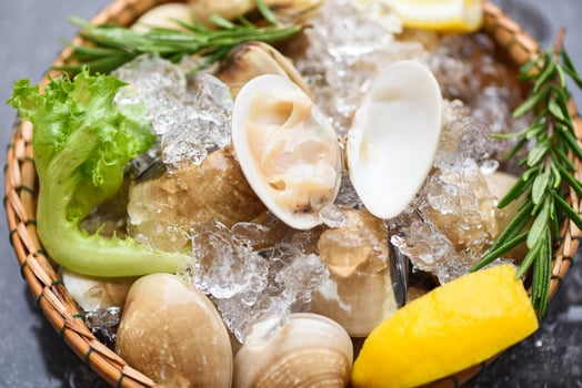Seafood shellfish with ice frozen on basket Fresh shell clam with herb ingredients for salad , enamel venus shell , saltwater clams photo