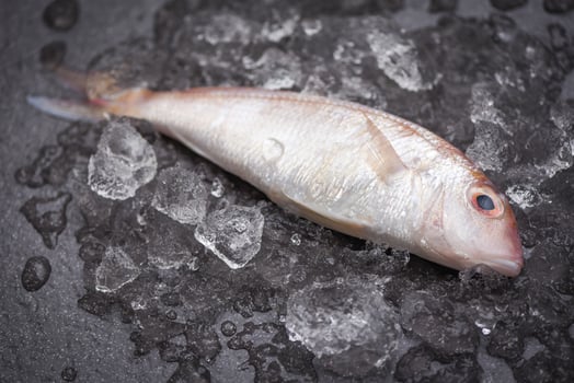Fresh fish on ice market - sea bream seafood fish frozen photo