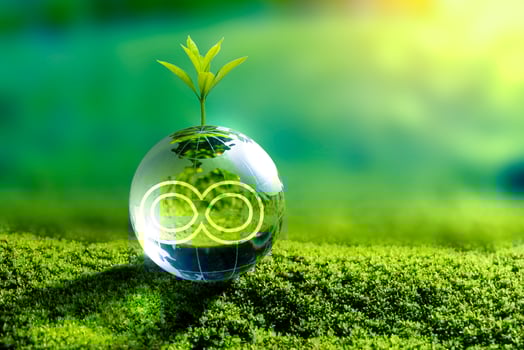 Renewable energy concept Earth Day or environment protection Hands protect forests that grow on the ground and help save the world. photo
