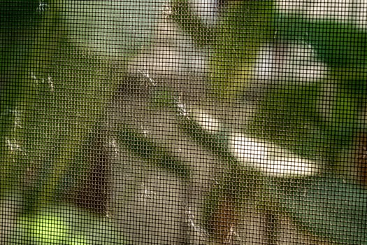 The weed flowers were blown by the wind and cling to the nylon nets photo