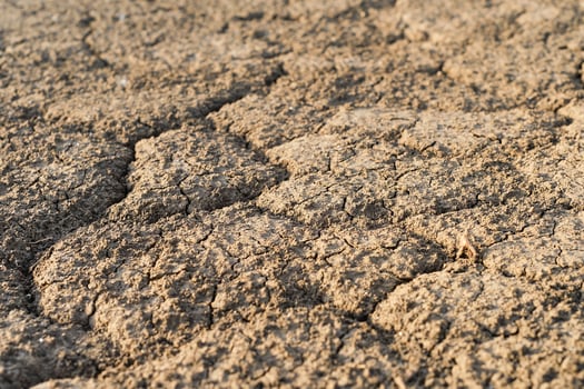 Selective focus of dry cracked earth due to drought in Europe, land without water, drought crisis, critically hot summer, dried up rivers. photo