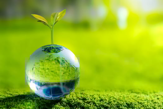 3D illustration Renewable energy concept Earth Day or environmental protection Protect the forests that grow on the ground and help save the planet. photo