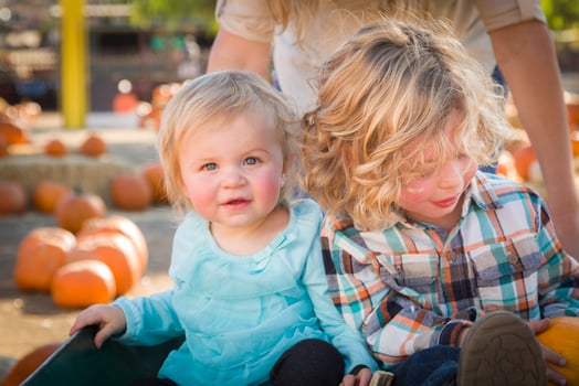 Young Family Enjoys a Day at the Pumpkin Patch photo