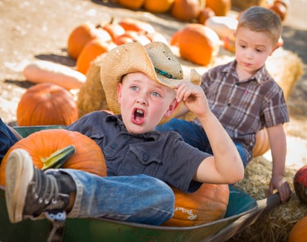 Two Boys Having Fun at the Pumpkin Patch on a Fall Day. photo