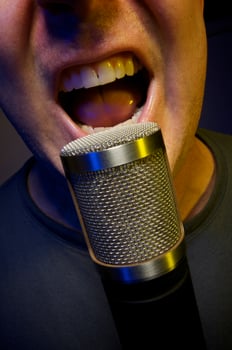 Vocalist and Microphone photo