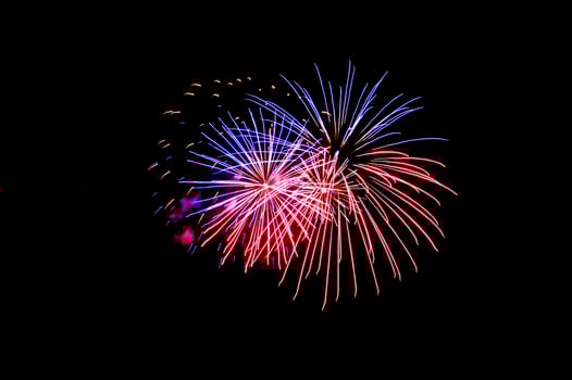 double blue and red Festive fireworks on a black background. Bright and colorful illustration for design. Screen overlay photo