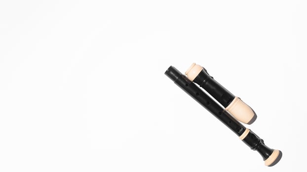 Disassembled musical flute on a white background, copy space. Top view photo
