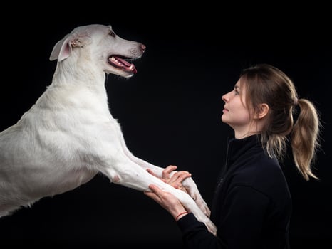 young pretty woman poses with her pet-white, highlighted on a black background. photo