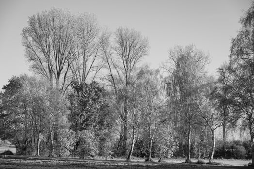 at a castle in westphalia photo