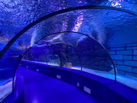 Large beautiful round glass tunnel under water in the aquarium with different fish. Concept tourism, sea world, diving photo