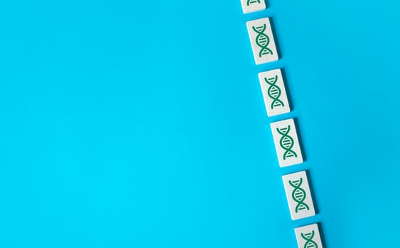 DNA chains on blocks, concept. Medicine and healthcare. The study of genetics, identifying predispositions to diseases. Paternity confirmation. Development and research. Place for text. photo