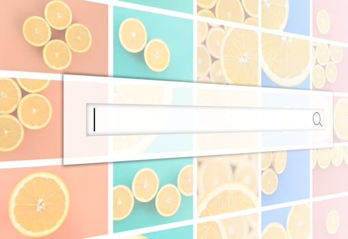 Visualization of the search bar on the background of a collage of many pictures with juicy oranges. Set of images with fruits on backgrounds of different colors photo