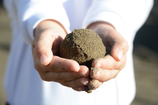 Kids Hands Playing With Sand  Ball photo