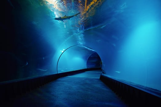Underwater oceanarium tunnel photo