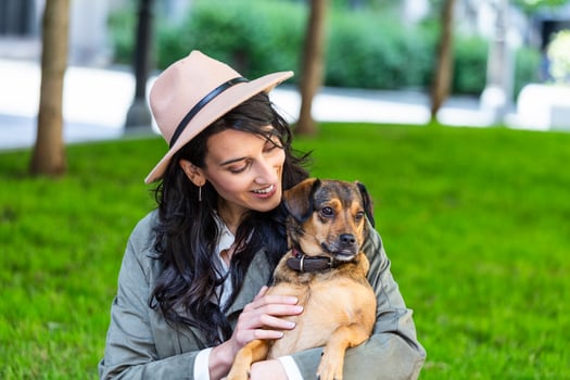 Beautiful young woman playing with her dogin a park outdoors. Lifestyle portrait. Cute young woman hugs her puppy dog. Love between owner and dog. photo