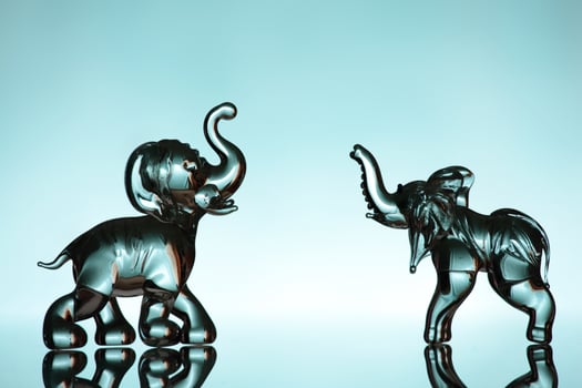 Two elephants over blue background photo
