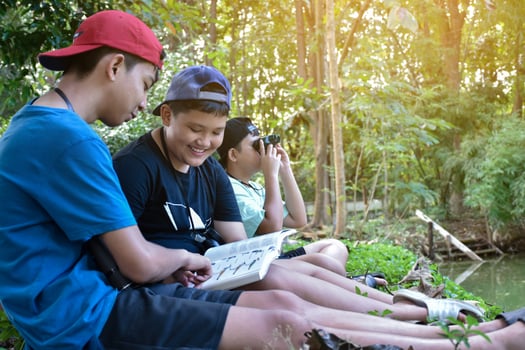Three asian boys're reading birds details and going to use binoculars to watch birds on the trees during summer camp, idea for learning creatures and wildlife animals outside the classroom. photo