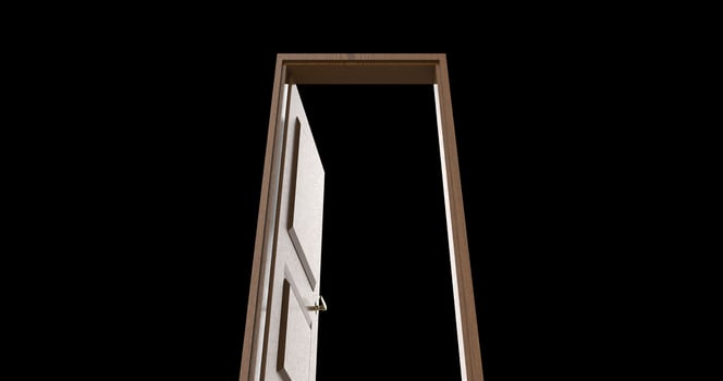 isolated door illustration 3d rendering photo
