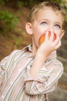 Adorable Child Boy Eating Red Apple Outside photo