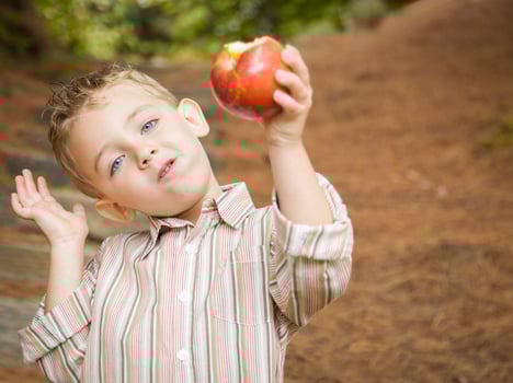 Adorable Child Boy Eating Red Apple Outside photo