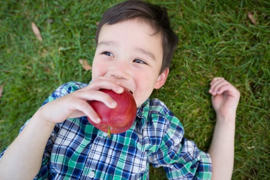 Mixed Race Chinese and Caucasian Young Boy With Apple Relaxing On His Back Outside On The Grass. photo
