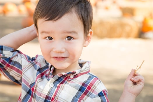 Mixed Race Young Boy Having Fun at the Pumpkin Patch photo