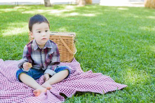 Young Mixed Race Boy Sitting in Park Near Picnic Basket photo