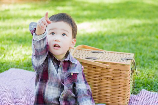 Young Mixed Race Boy Sitting in Park Near Picnic Basket photo