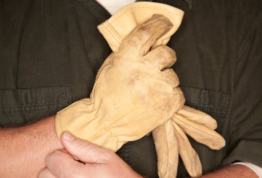 Man Putting on Leather Construction Gloves photo