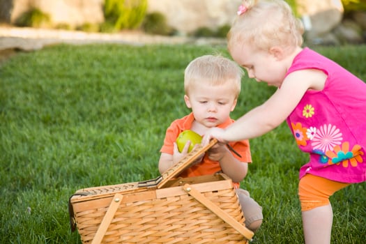 Brother and Sister Toddlers Playing with Apple and Picnic Basket photo